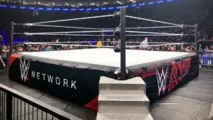 Olympic Medalist May Sign with WWE