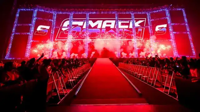 Former WWE Star Officially Announces Retirement